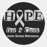 Hope for a Cure - Grey Ribbon Round Sticker