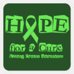 Hope for a Cure - Kidney Cancer Stickers