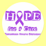 Hope for a Cure - Purple Ribbon Round Stickers
