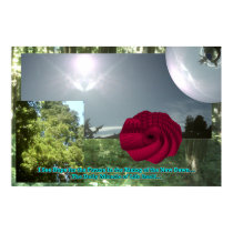 Hope for the Future Rose Poster posters by gregvan Hope for the Future Rose Poster posters