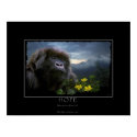 HOPE Mountain Gorilla Art Print