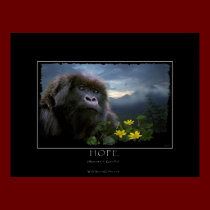HOPE Mountain Gorilla Art Print