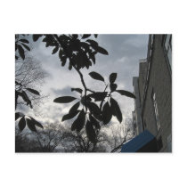 hope of a new day postcards