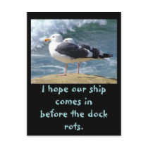 Hope our ship, I hope our ship comes inbefore t... postcards by TheFeatherFactory Hope our ship, I hope our ship comes inbefore t... postcards