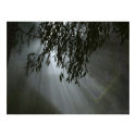 Hope posters