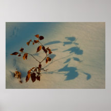 Hope Posters