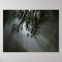 Hope posters