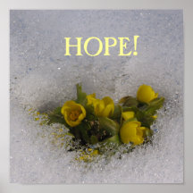 Hope Posters