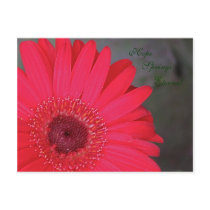 Hope Springs Eternal Postcard by angelspiritme Hope Springs Eternal Postcard