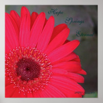 Hope Springs Eternal... Posters