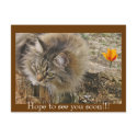 Hope to see you soon!!! postcards