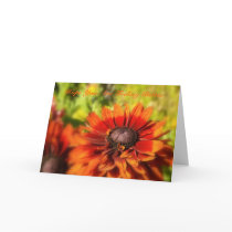 Hope You Are Feeling Better Card