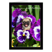 Hope you feel better soon pug greeting card