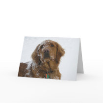 Hope Your Holidays Are Golden Cards