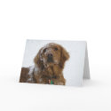 Hope Your Holidays Are Golden cards by floppypup Hope Your Holidays Are Golden cards