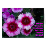 Hope You're Feeling In the Pink Soon!