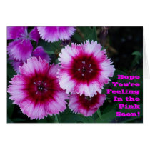 Hope You're Feeling In the Pink Soon! cards