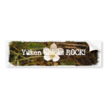Hopeful Flower; Yukon Chicks ROCK! Bumper Stickers