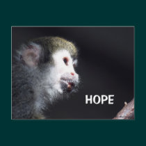 "Hopeful" Post Card postcards