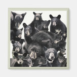 Hope's Life Magnets