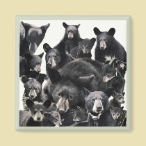 Hope's Life magnets