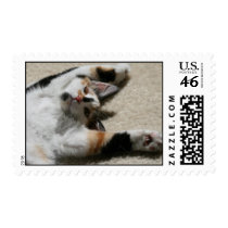 Hope's Postage Stamp