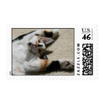 Hope's Postage Stamp