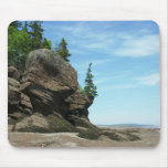 Hopewell Rocks Mouse Pads
