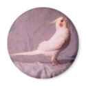HOPPER magnet