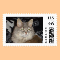 hopper postage by pattycake hopper postage