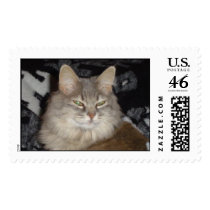hopper postage by pattycake hopper postage
