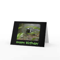 Hoppy Birthday cards by KiraDott Hoppy Birthday cards