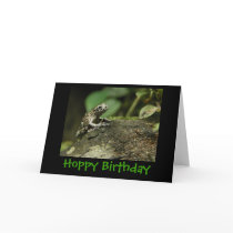 Hoppy Birthday cards by KiraDott Hoppy Birthday cards