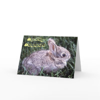 Hoppy Easter Card card