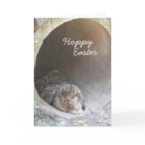 Hoppy Easter Card by jasminesphotography Hoppy Easter Card