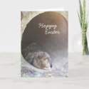 Hoppy Easter Card card