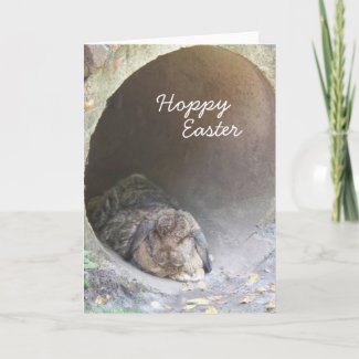 Hoppy Easter I Greeting Card card