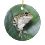 'Hoppy' Holidays! Ornament