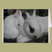 Hoppy Mother's Day cards