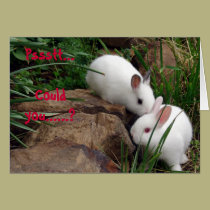 Hoppy Valentine's Day cards