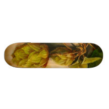 Hops Skateboards