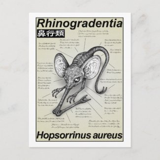 Hopsorrinus aureus postcard