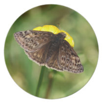 Horces Duskywing Butterfly Dinner Plate