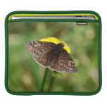 Horces Duskywing Butterfly Sleeves For iPads