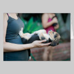 Horizontal Beagle Baby cards