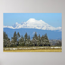 Horizontal Poster:  Mt. Baker with Snow Geese
