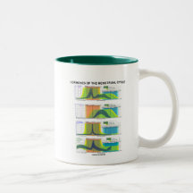 Hormones Of The Menstrual Cycle (Menstruation) Mugs