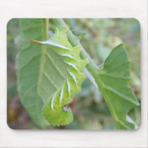 Horn Worm ~ mousepad