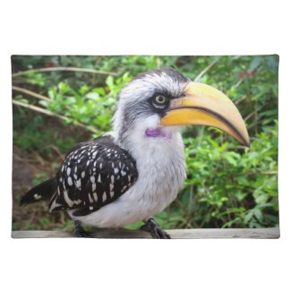 Hornbill bird close up looking at camera place mats