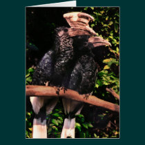 Hornbills In Love cards